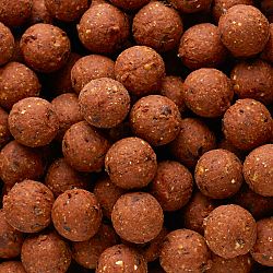 CAPERLAN Boilies na lov kapra NaturalSeed 20 mm 2 kg Birdfood