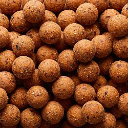 CAPERLAN Boilies na lov kapra NaturalSeed 20 mm 2 kg Cesnak/Pečeň