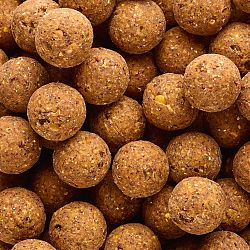 CAPERLAN Boilies na lov kapra NaturalSeed 24 mm 2 kg Konopné semeno - Tigrí orech