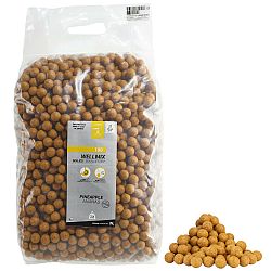 CAPERLAN Boilies na lov kapra Wellmix 20 mm 10 kg Ananás