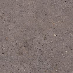 Biophilic dark grey 60x60 8,5MM GRIP