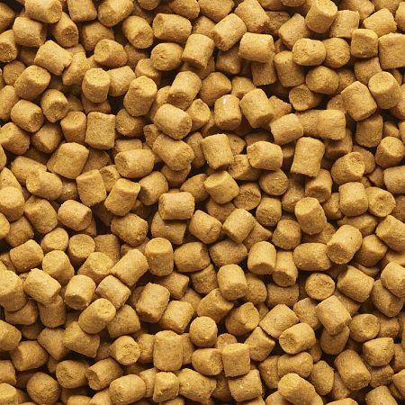 CAPERLAN Pelety na lov kaprov Xtrem Carp Pellets 3 kg 4 mm Scopex 5 kg