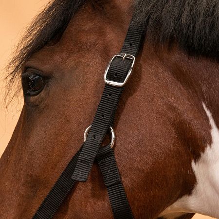 FOUGANZA Ohlávka Schooling pre kone a poníky čierna CS